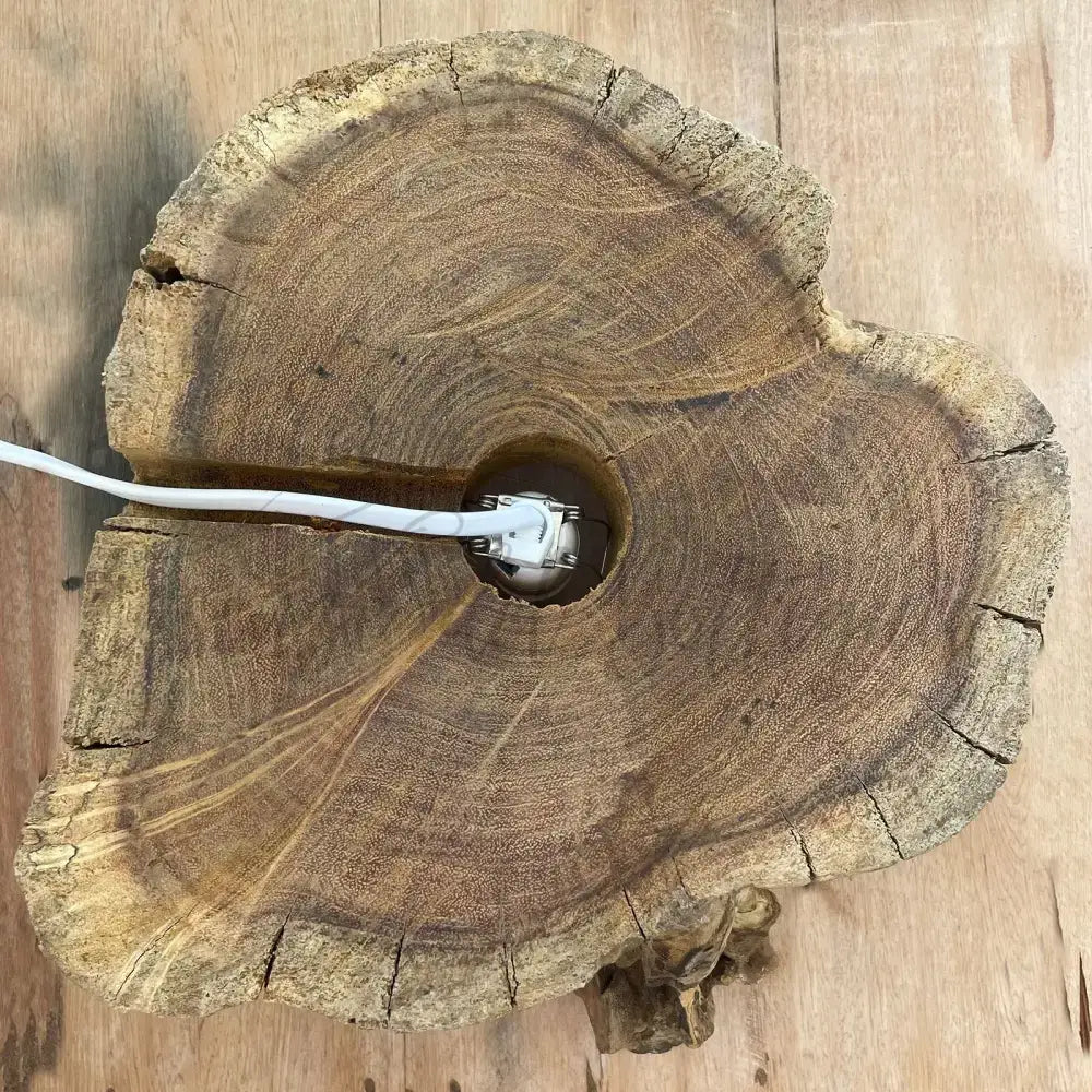 Acquario grande in vetro soffiato su legno - 32 cm - Molten Glass on Wood