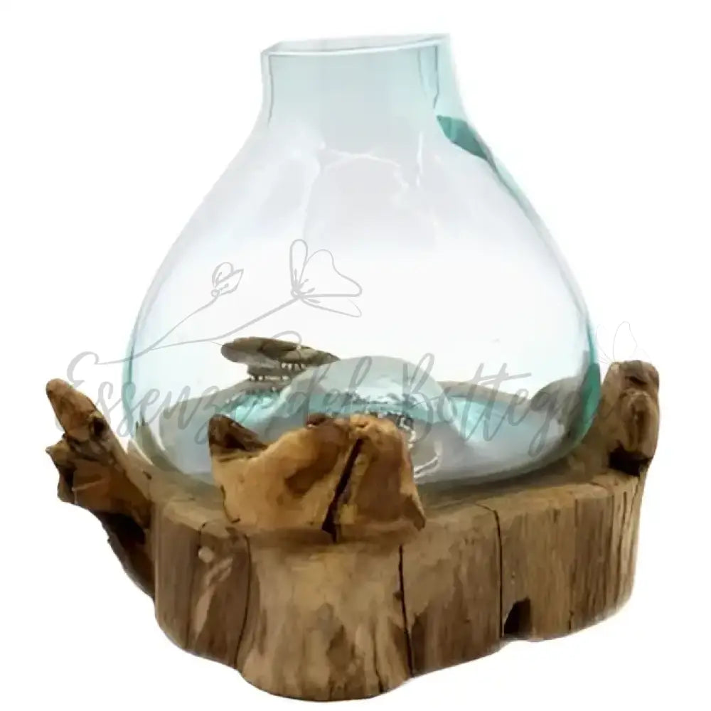 Acquario grande in vetro soffiato su legno - 32 cm - Molten Glass on Wood
