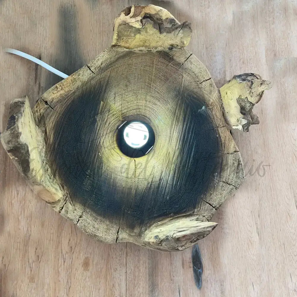 Acquario grande in vetro soffiato su legno - 32 cm - Molten Glass on Wood