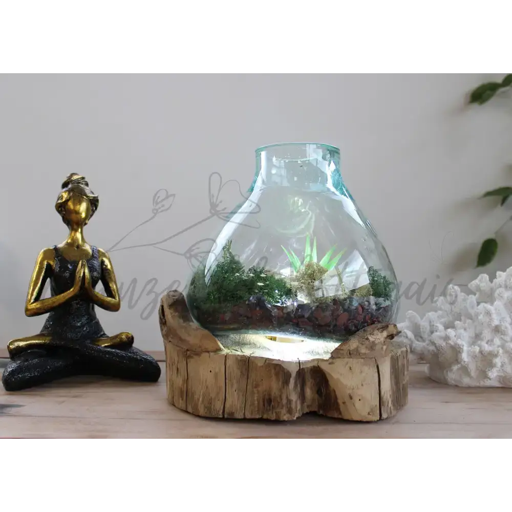 Acquario grande in vetro soffiato su legno - 32 cm - Molten Glass on Wood