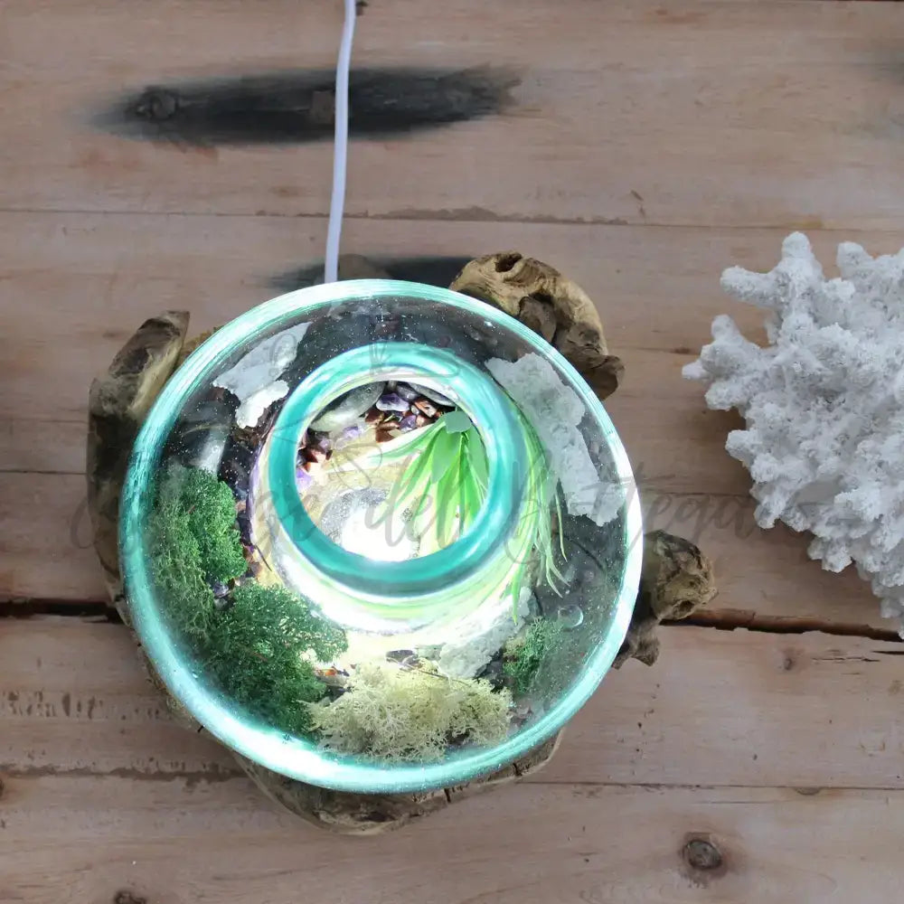 Acquario grande in vetro soffiato su legno - 32 cm - Molten Glass on Wood