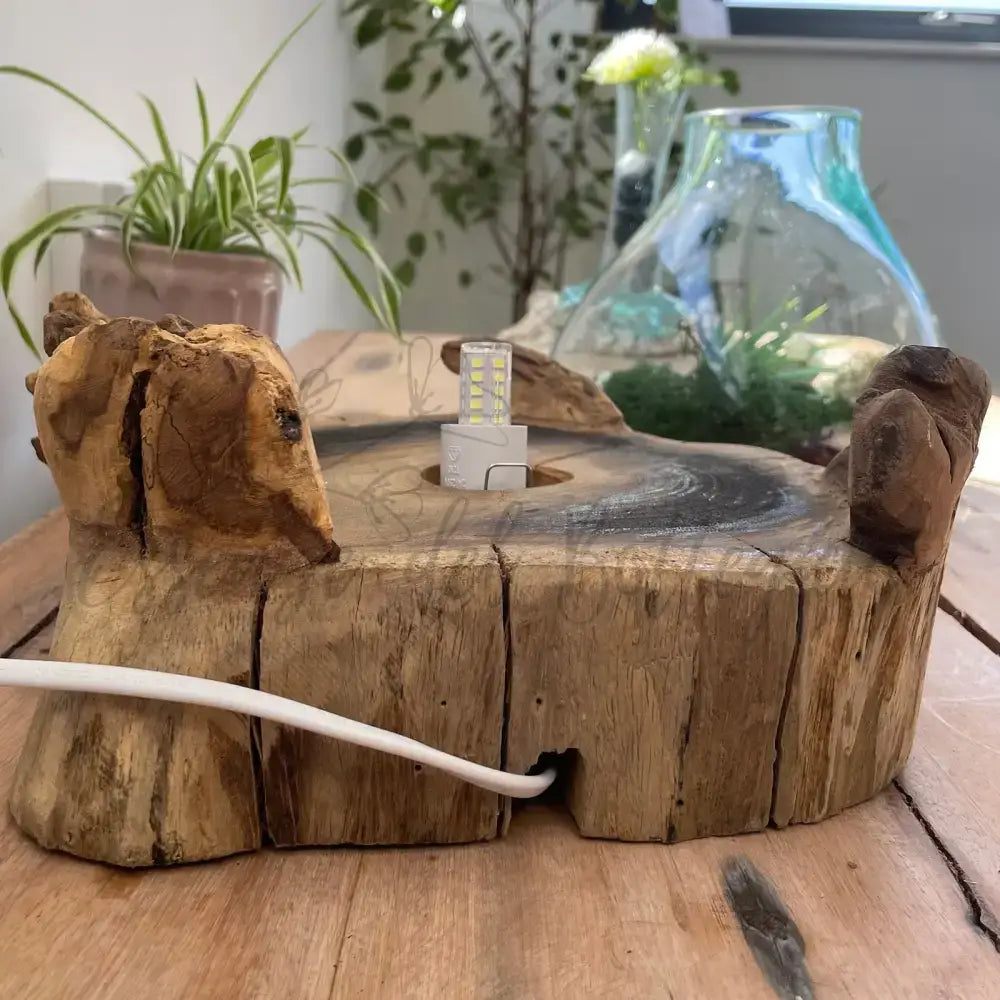 Acquario grande in vetro soffiato su legno - 32 cm - Molten Glass on Wood