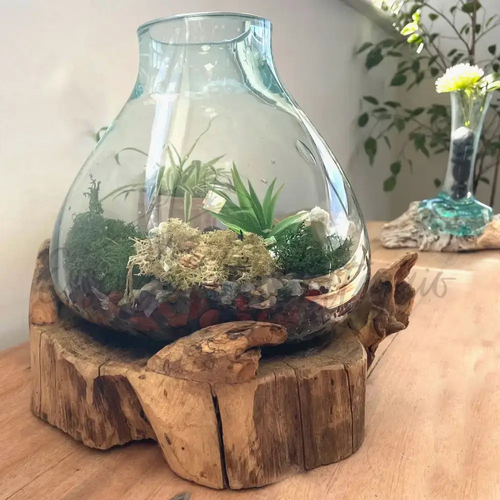 Acquario grande in vetro soffiato su legno - 32 cm - Molten Glass on Wood