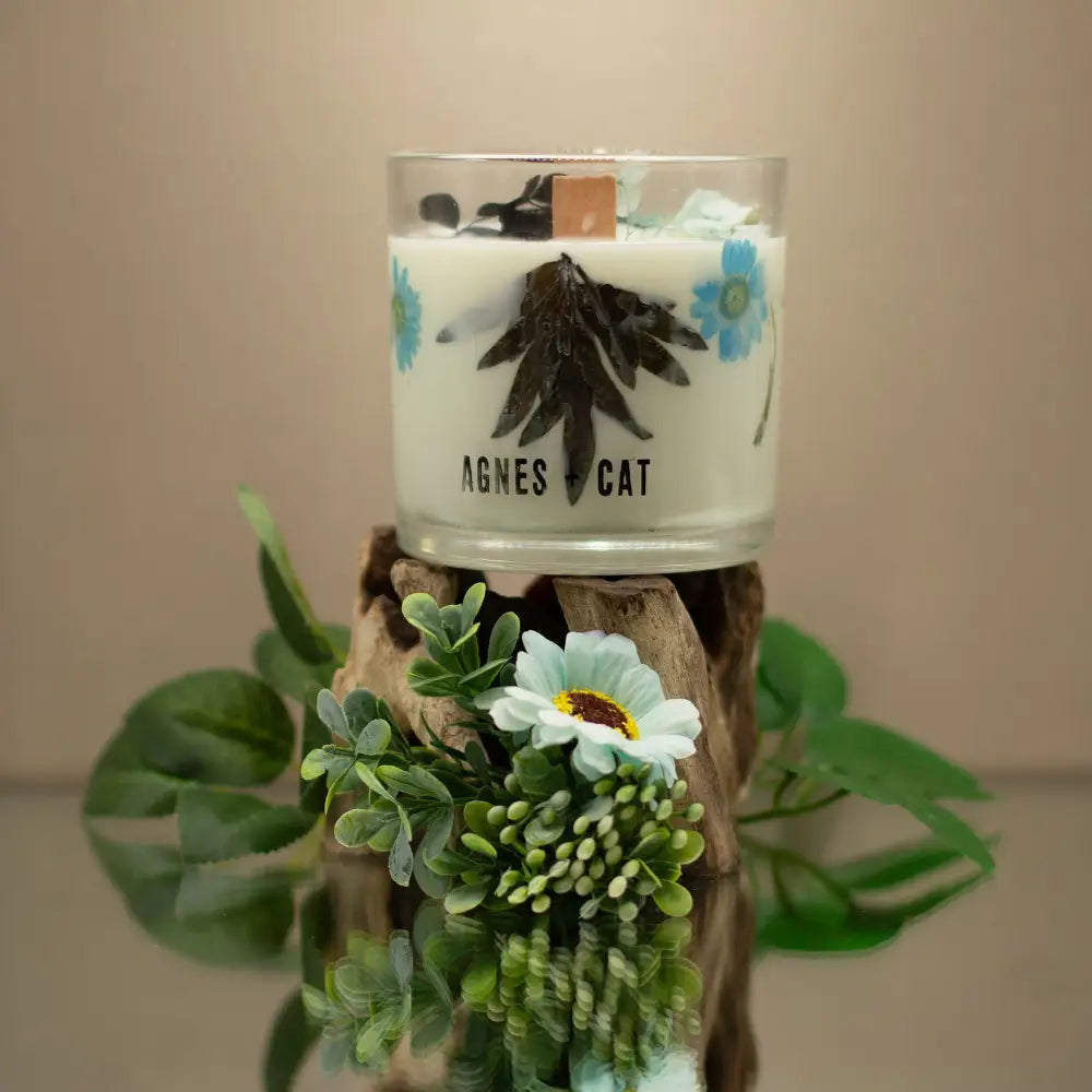 Candela Botanica in Cera di Soia Agnes & Cat - Sale Marino e Muschio - Agnes + Cat Botanical Soy Wax Candles
