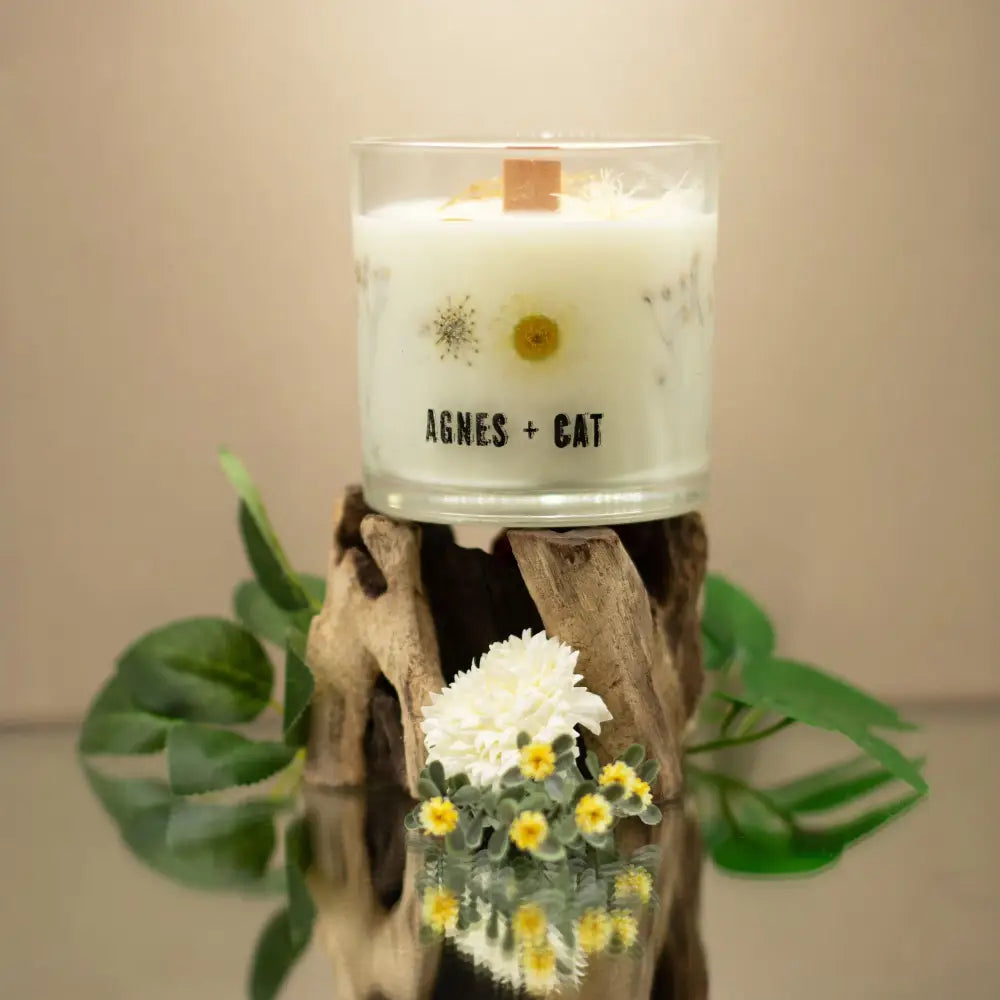 Candela Botanica in Cera di Soia Agnes & Cat - Acque Tranquille Windermere - Agnes + Cat Botanical Soy Wax Candles