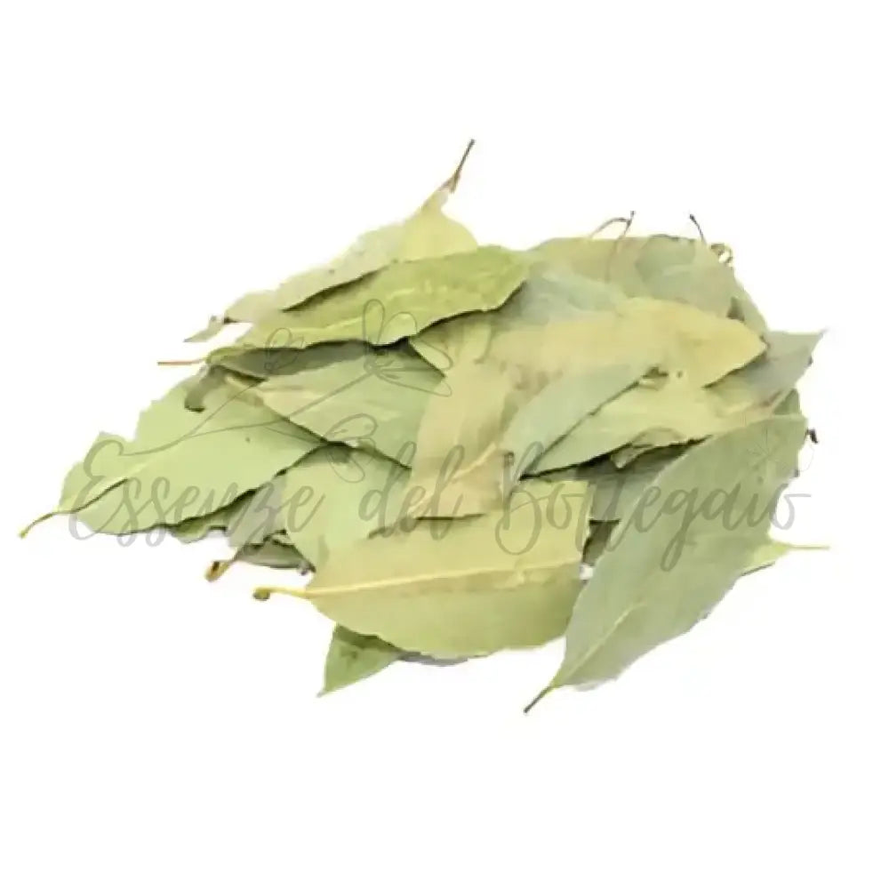 Alloro (Foglie Intere) 250gr - Pure Floral