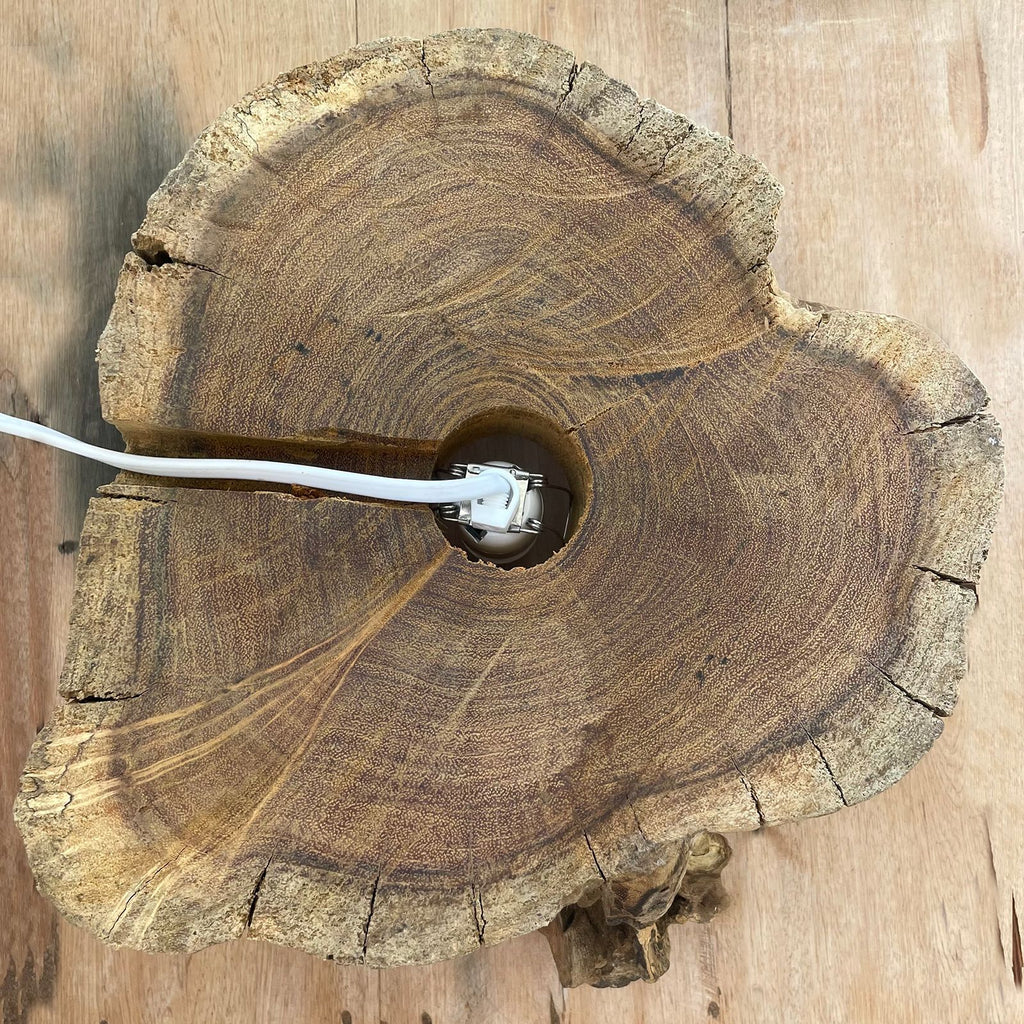 Acquario grande in vetro soffiato su legno - 32 cm - Essenze del Bottegaio