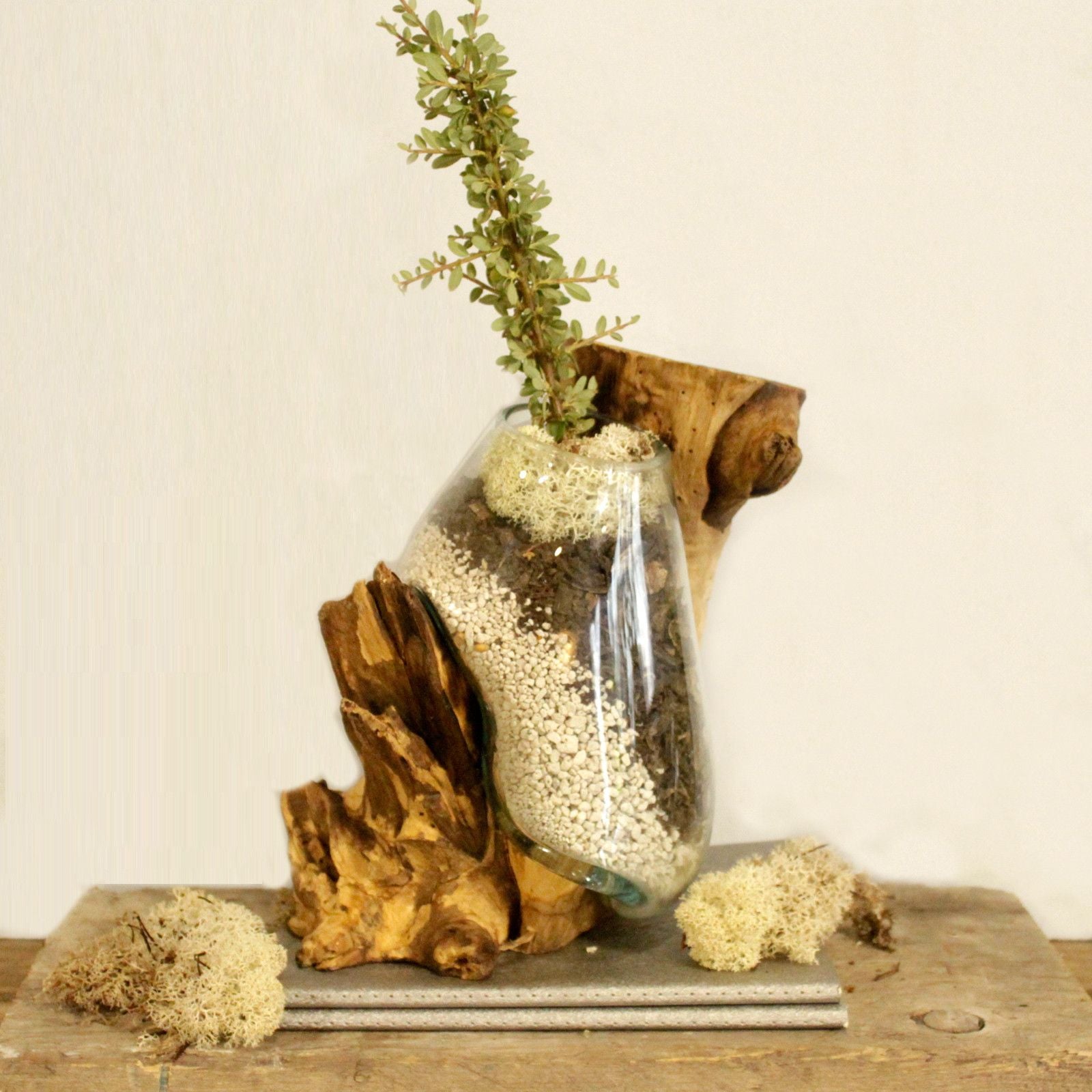 Vetro soffiato su legno - Ciotola sospesa - Essenze del Bottegaio