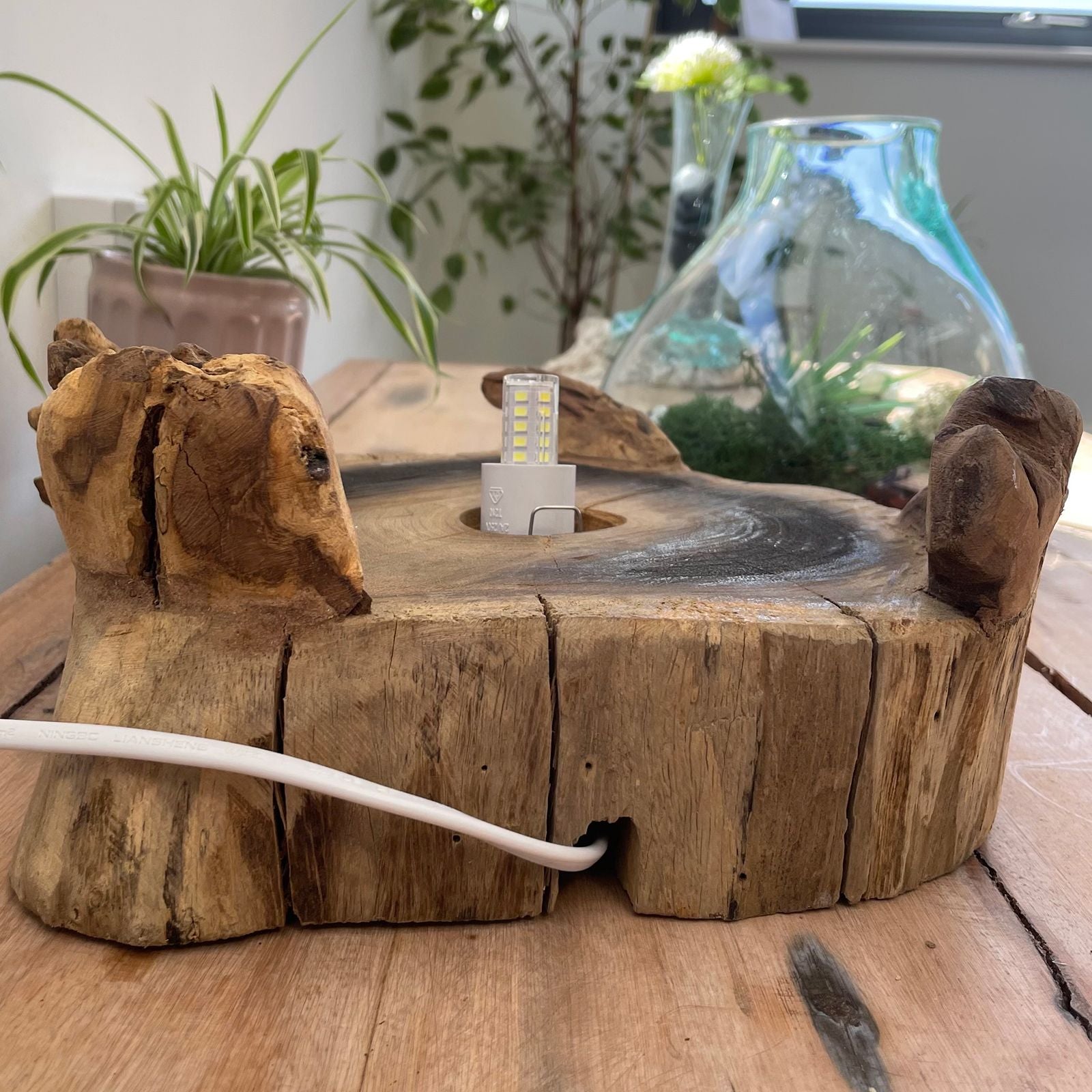 Acquario grande in vetro soffiato su legno - 32 cm - Essenze del Bottegaio