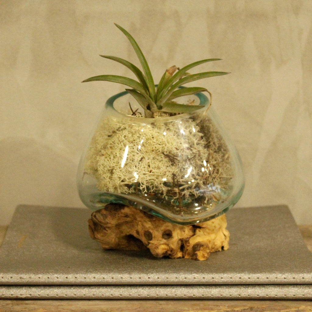 Vetro soffiato su legno - Ciotola piccola - Essenze del Bottegaio