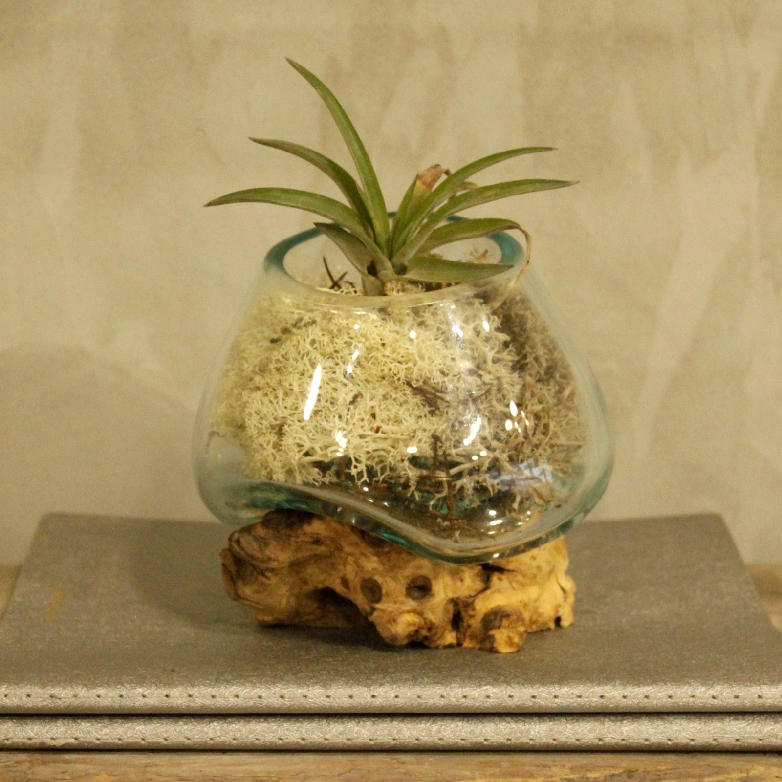 Vetro soffiato su legno - Ciotola piccola - Essenze del Bottegaio