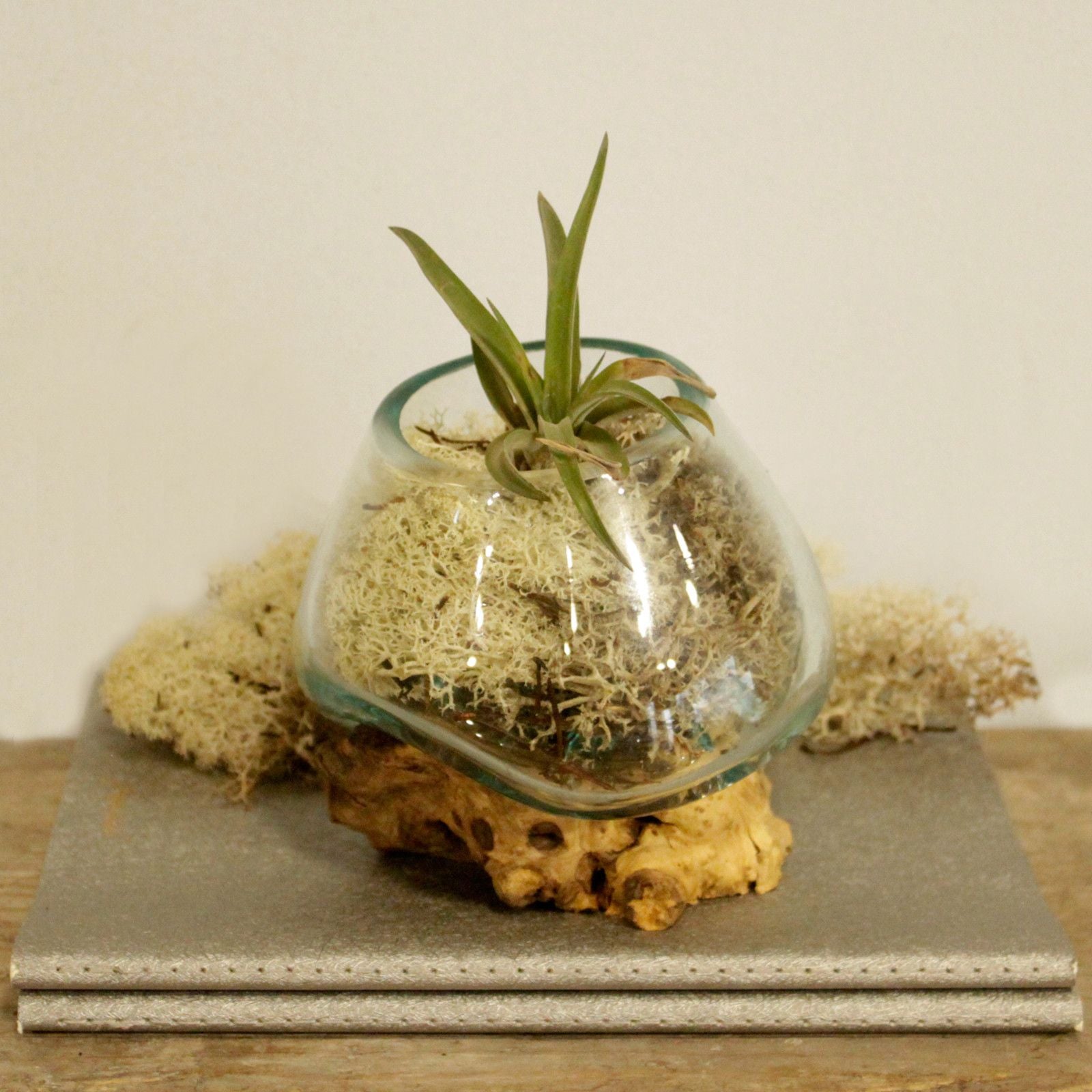 Vetro soffiato su legno - Ciotola piccola - Essenze del Bottegaio