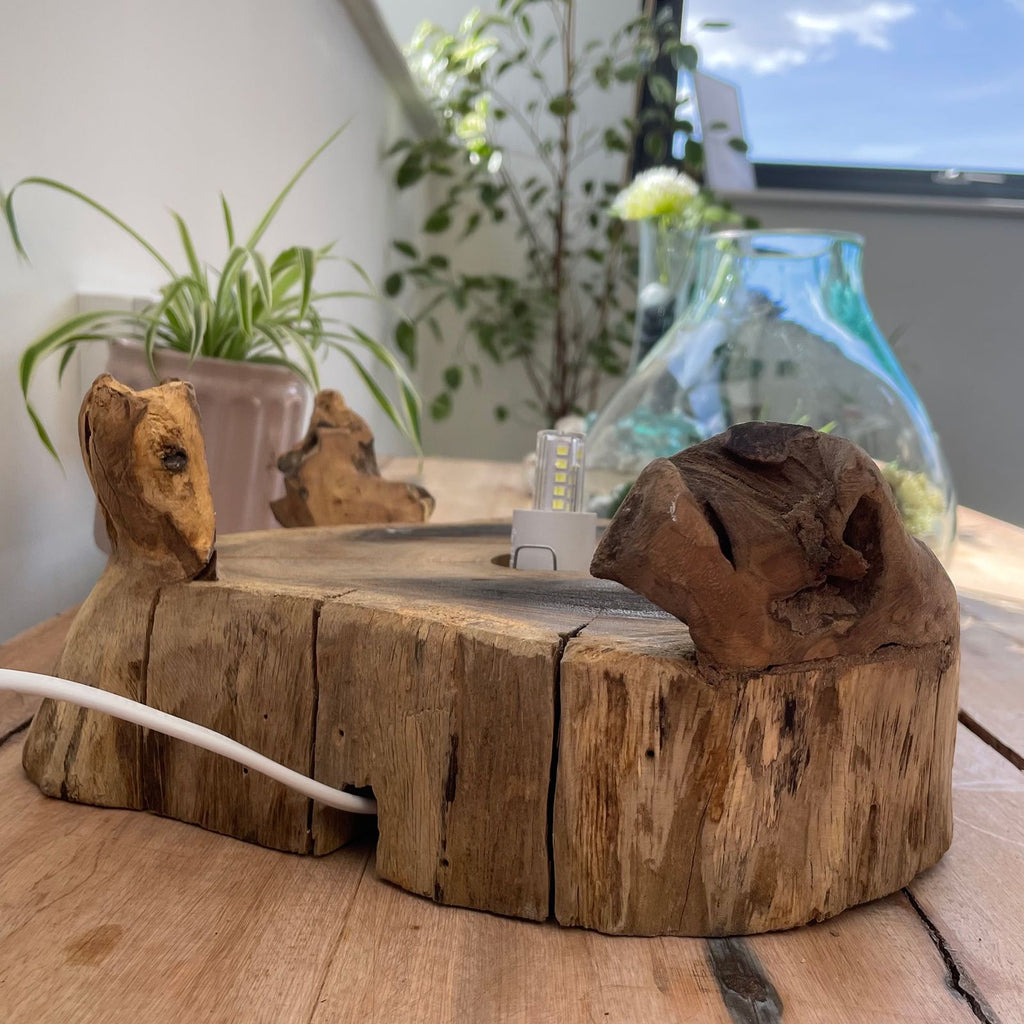 Acquario grande in vetro soffiato su legno - 32 cm - Essenze del Bottegaio