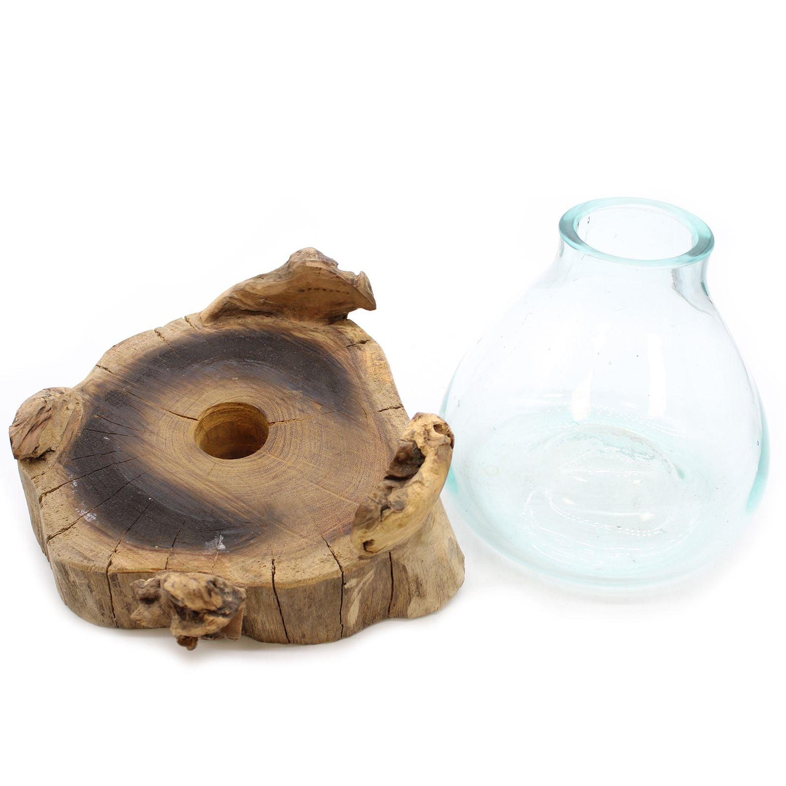 Acquario grande in vetro soffiato su legno - 32 cm - Essenze del Bottegaio