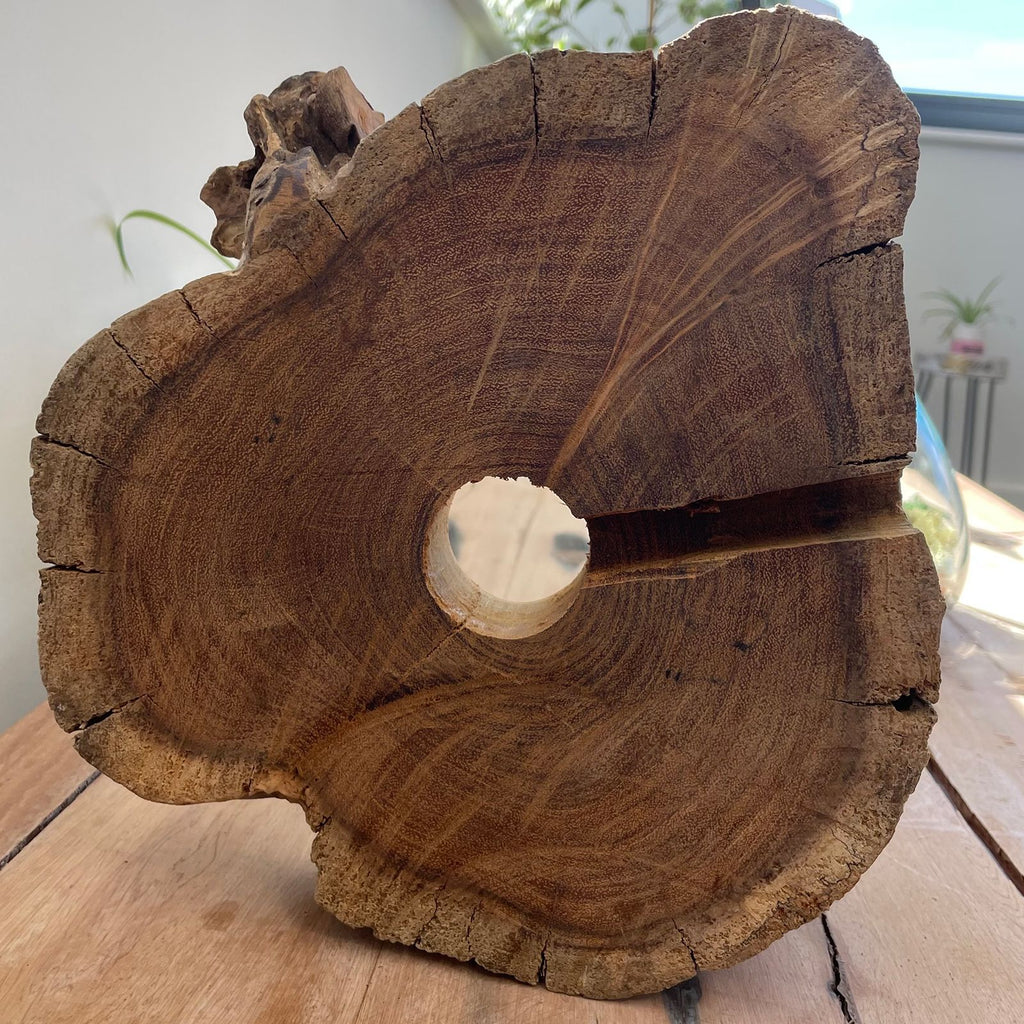 Acquario grande in vetro soffiato su legno - 32 cm - Essenze del Bottegaio