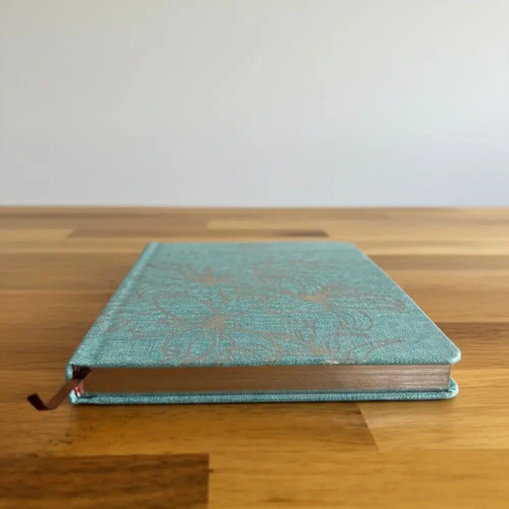 Blue Gratitude Journal with Silver Lining - 120 pages - Wellness & Gratitude Notebooks