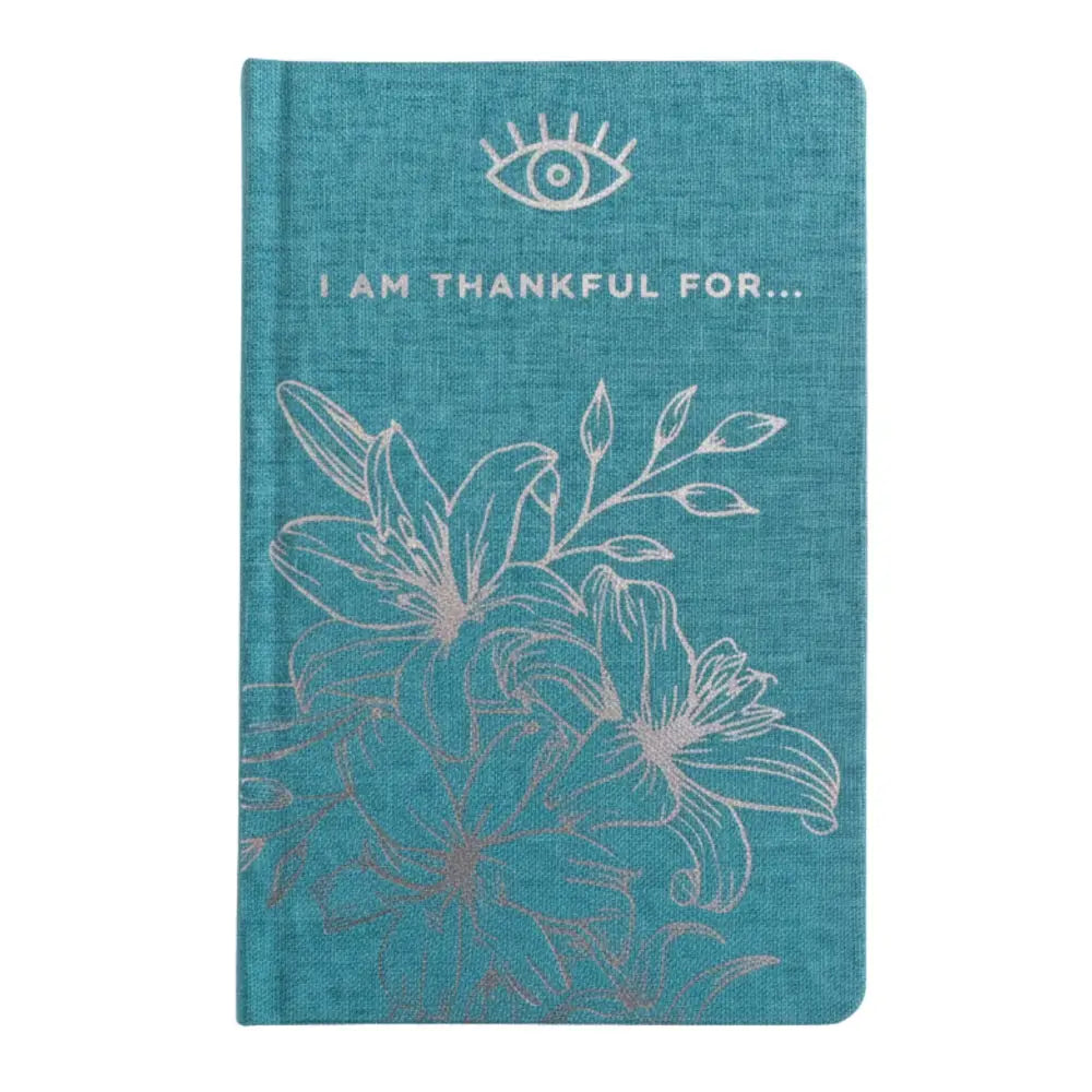 Blue Gratitude Journal with Silver Lining - 120 pages - Wellness & Gratitude Notebooks