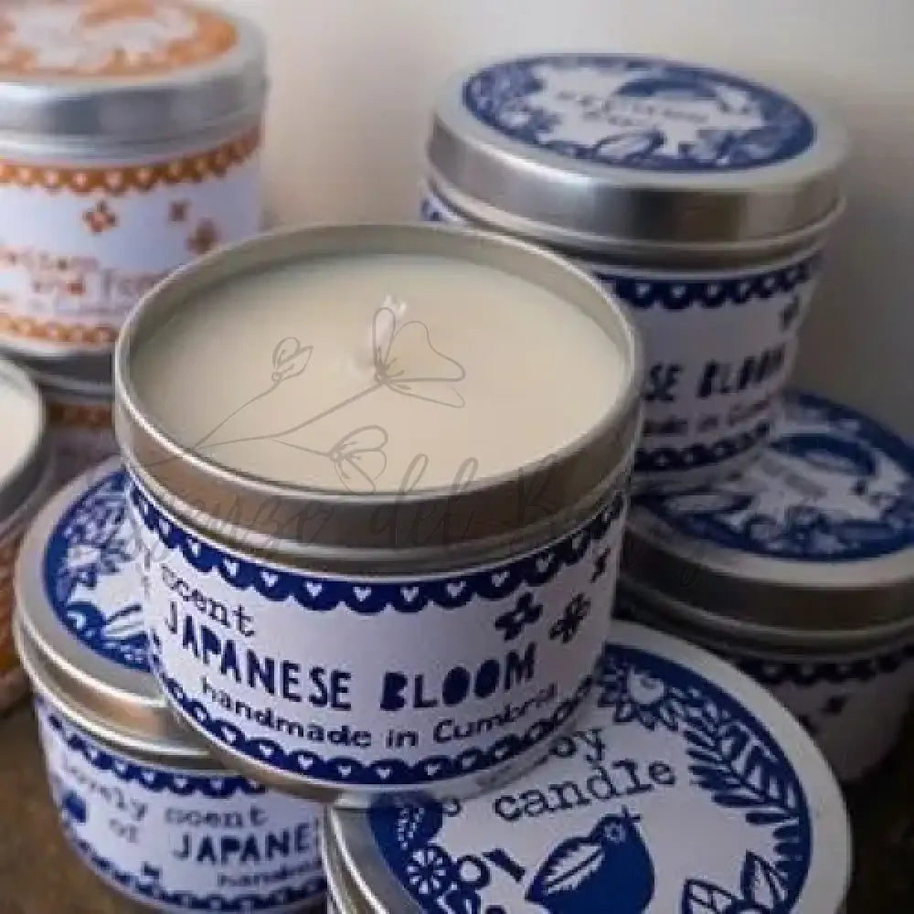 Candela in Lattina - Provence - Soy Wax Tin Candles 200 ml