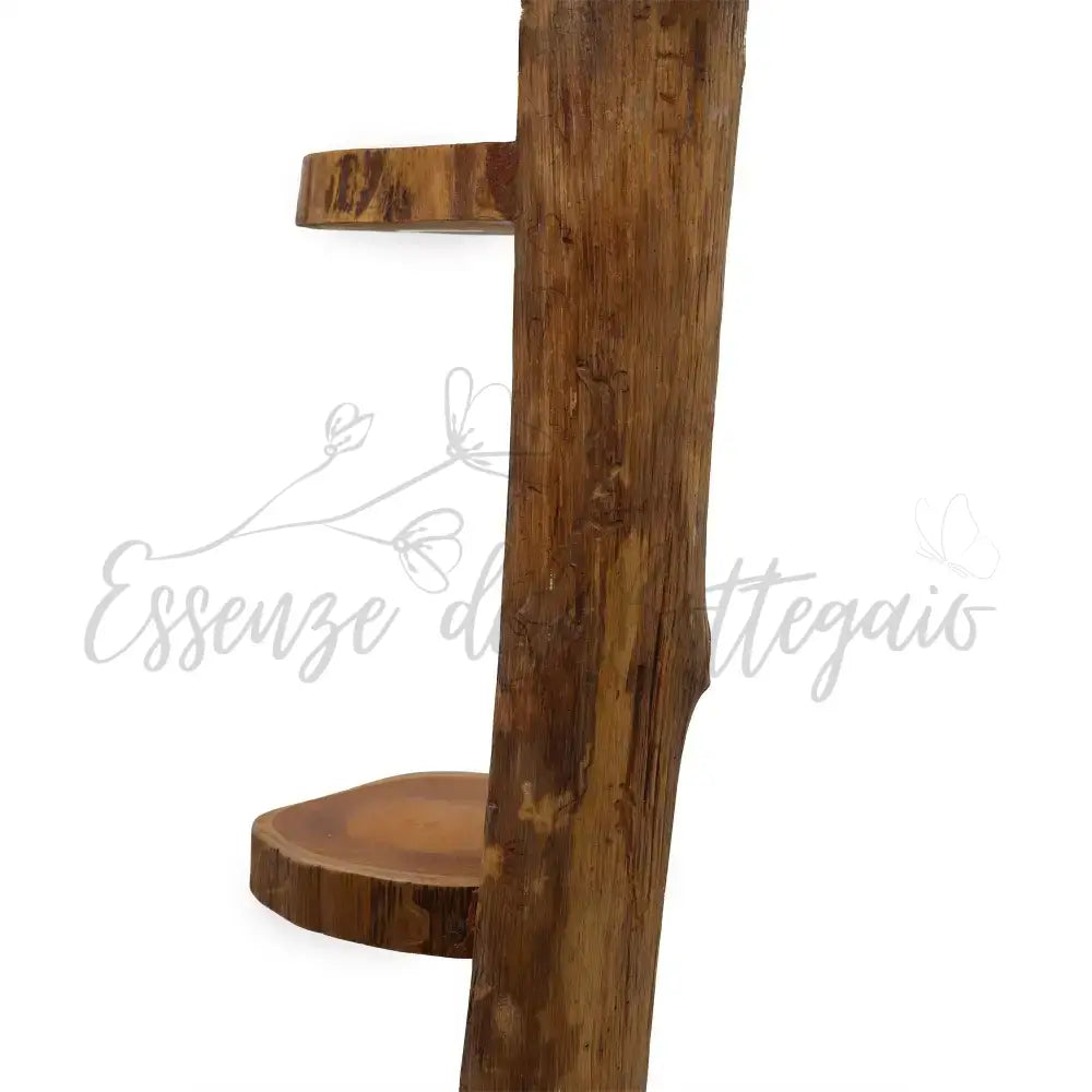 Espositore a 3 Ripiani in Legno Teak - Alto 100cm - Natural Teak Display