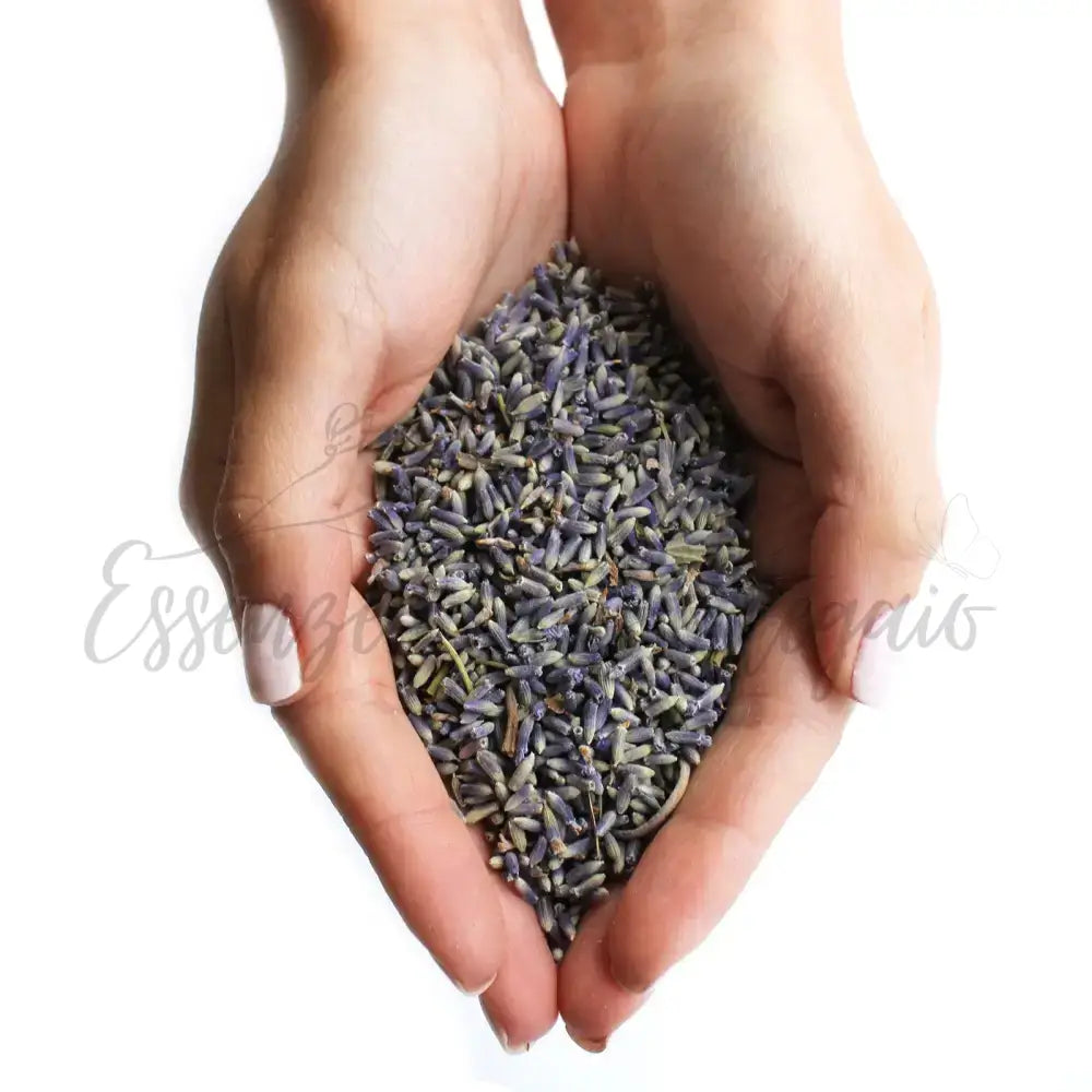 Fiori di Lavanda (1KG) - Pure Floral