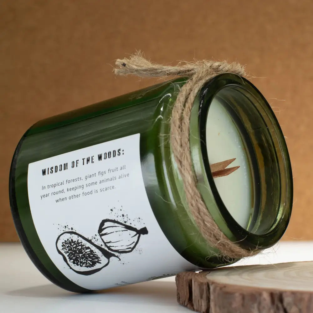 Candela di Soia con Stoppino in Legno – Fico e Ribes Nero - Greenman Rituals Woodwick Soy Candles