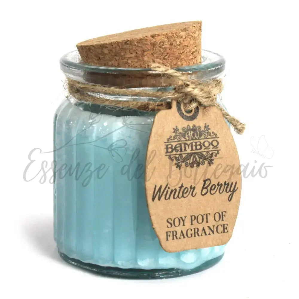 Lumino di soia - Bacche Invernali - Soy Pot of Fragrance Candle