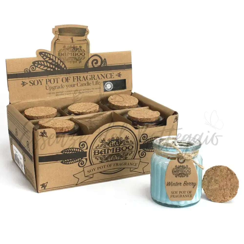 Lumino di soia - Bacche Invernali - Soy Pot of Fragrance Candle