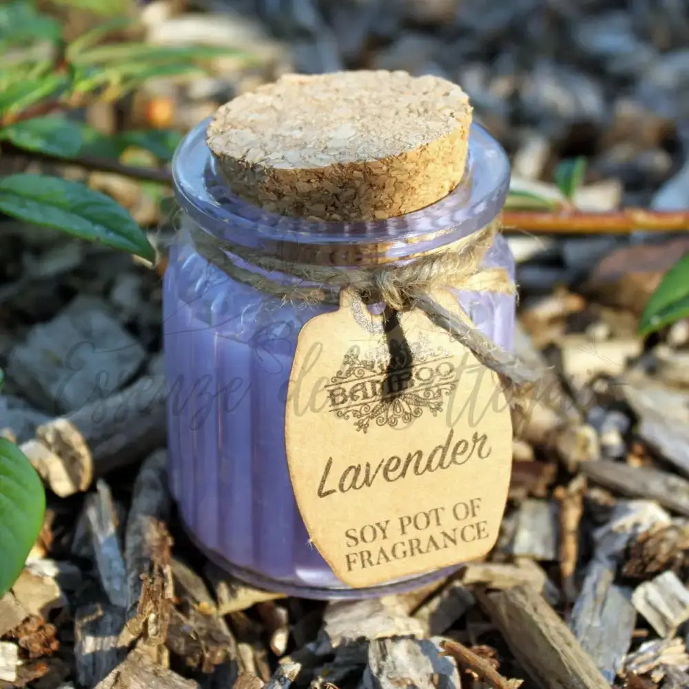 Lumino di soia - Lavanda - Soy Pot of Fragrance Candle