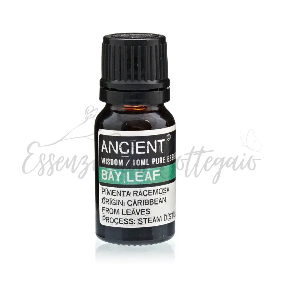 Olio Essenziale 10ml - Alloro (Pimenta Racemosa) - Essential Oils