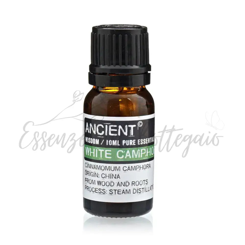 Olio Essenziale 10ml - Canfora Bianca - Essential Oils