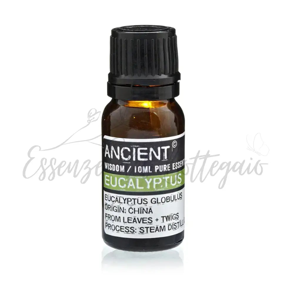 Olio Essenziale 10ml - Eucalipto - Essential Oils