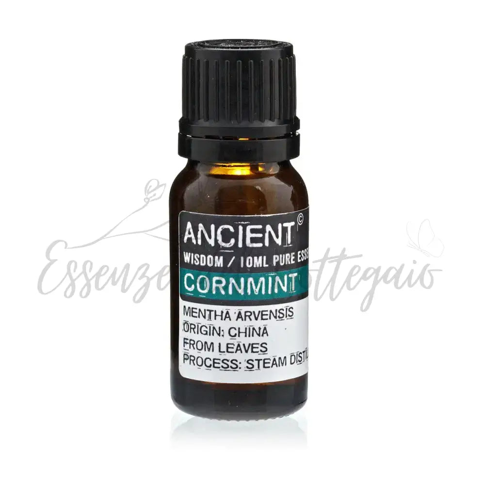 Olio Essenziale 10ml - Menta Arvensis - Essential Oils