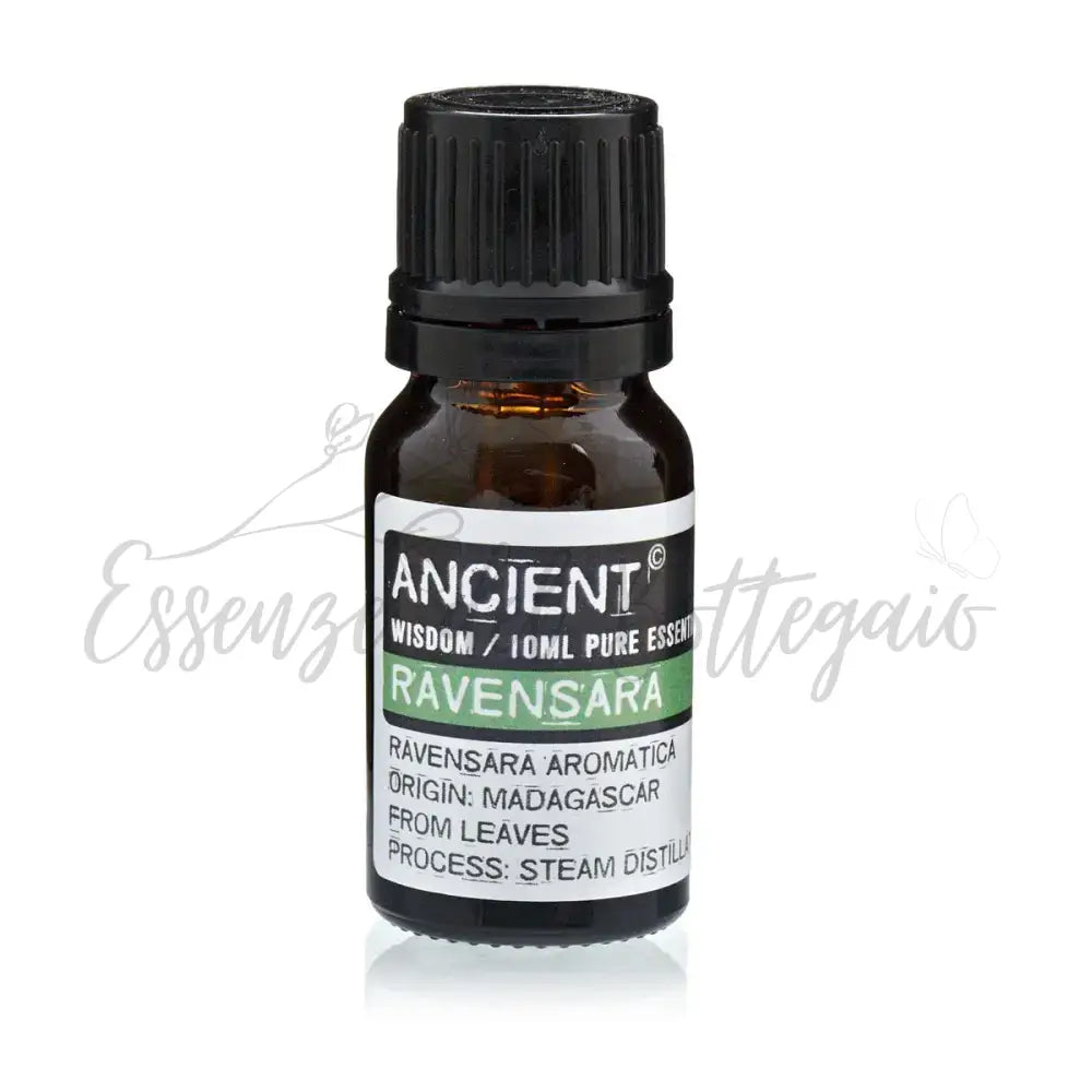 Olio Essenziale 10ml - Ravensara - Essential Oils