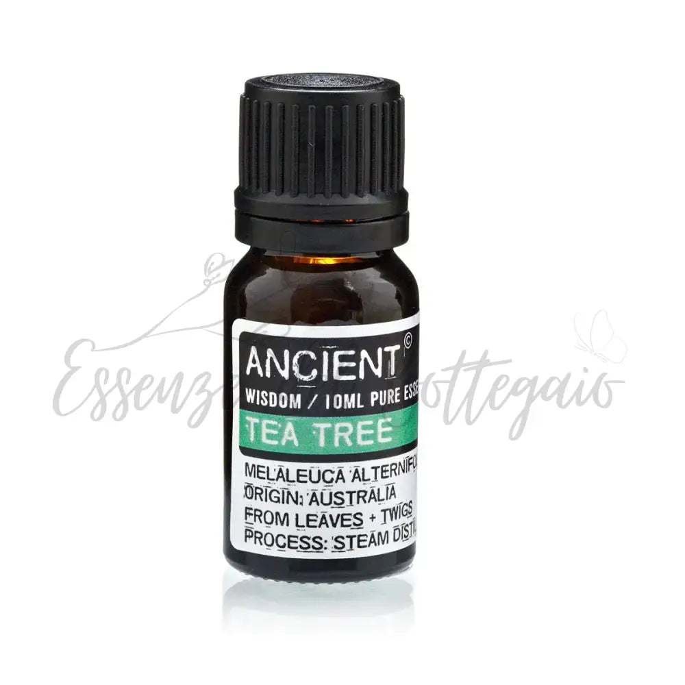Olio Essenziale 10ml - Tea Tree (melaleuca) - Essential Oils