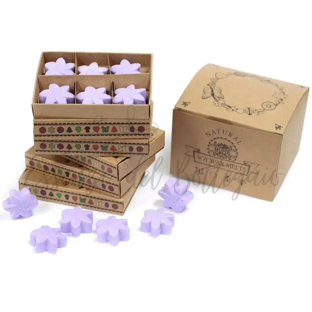 Scatola da 6 Cere da Sciogliere - Campi di Lavanda - Natural Soy Wax Melts