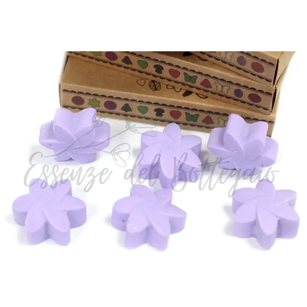 Scatola da 6 Cere da Sciogliere - Campi di Lavanda - Natural Soy Wax Melts