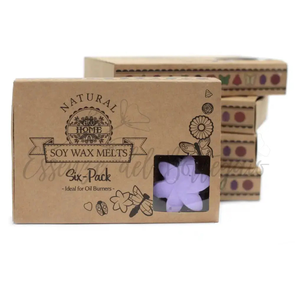 Scatola da 6 Cere da Sciogliere - Campi di Lavanda - Natural Soy Wax Melts