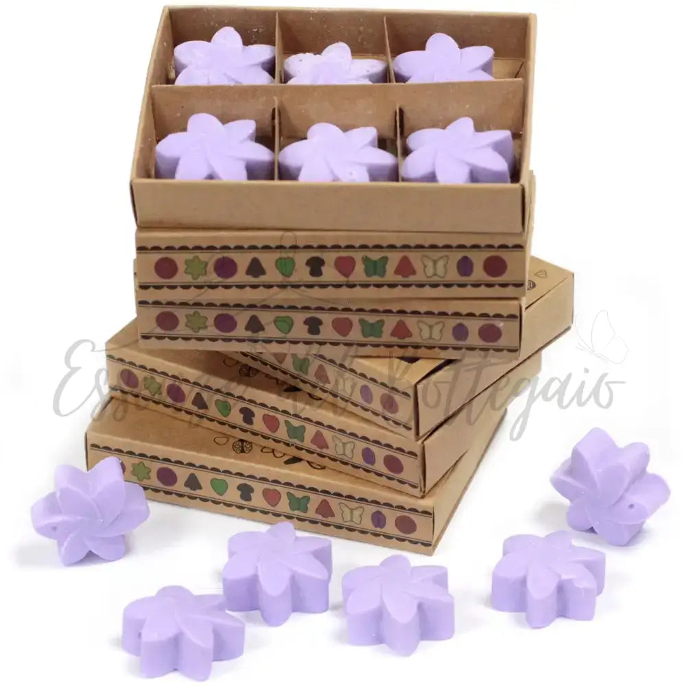 Scatola da 6 Cere da Sciogliere - Campi di Lavanda - Natural Soy Wax Melts