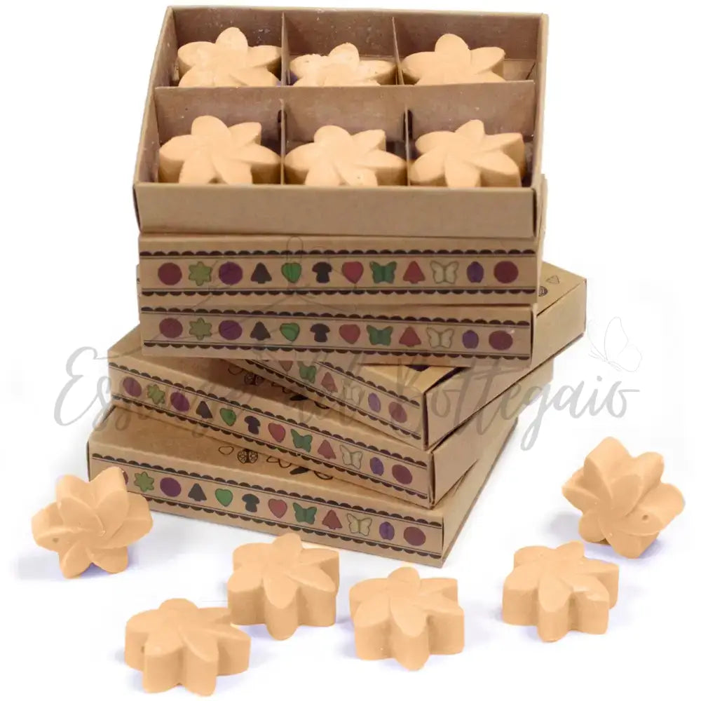 Scatola da 6 Cere da Sciogliere - Gelsomino di Mezzanotte - Natural Soy Wax Melts