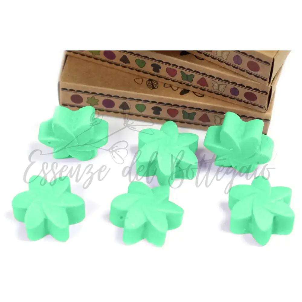 Scatola da 6 Cere da Sciogliere - Giardino Segreto - Natural Soy Wax Melts
