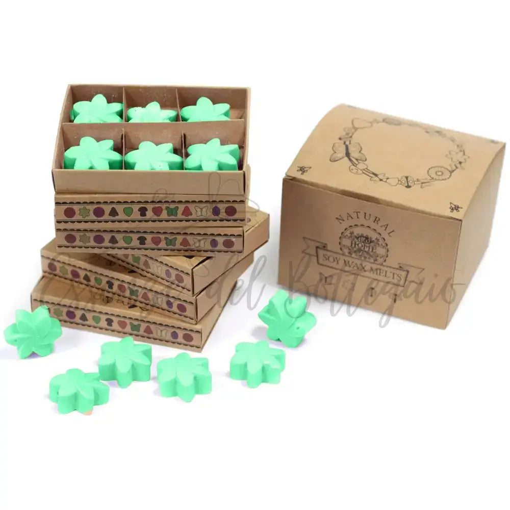 Scatola da 6 Cere da Sciogliere - Giardino Segreto - Natural Soy Wax Melts