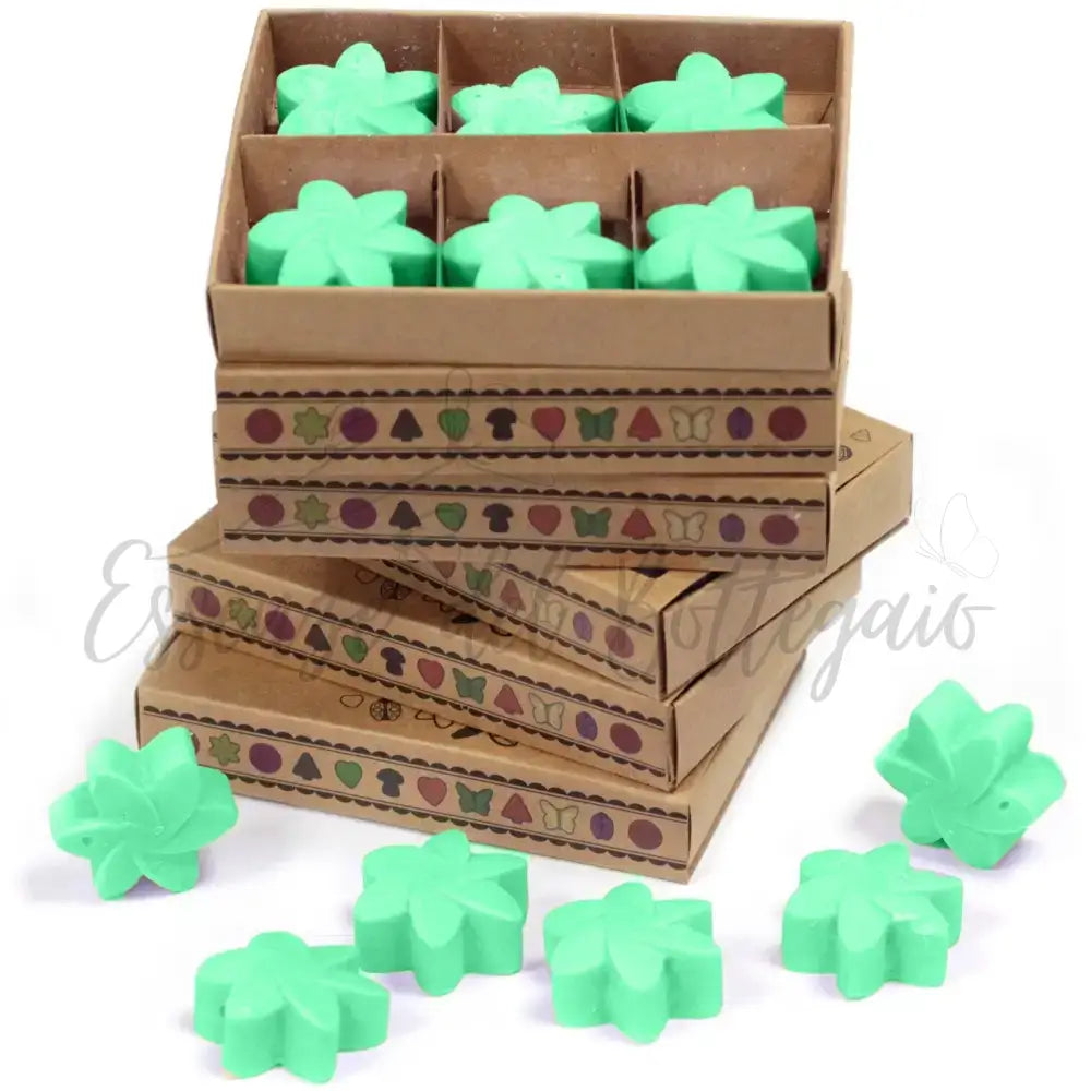 Scatola da 6 Cere da Sciogliere - Giardino Segreto - Natural Soy Wax Melts