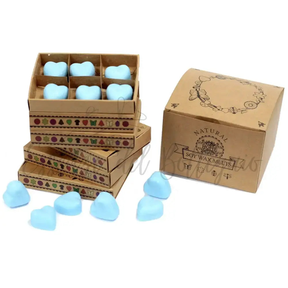 Scatola da 6 Cere da Sciogliere - Lampone - Natural Soy Wax Melts