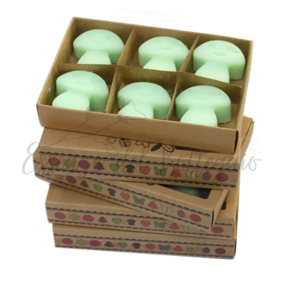 Scatola da 6 Cere da Sciogliere - Liquirizia - Natural Soy Wax Melts