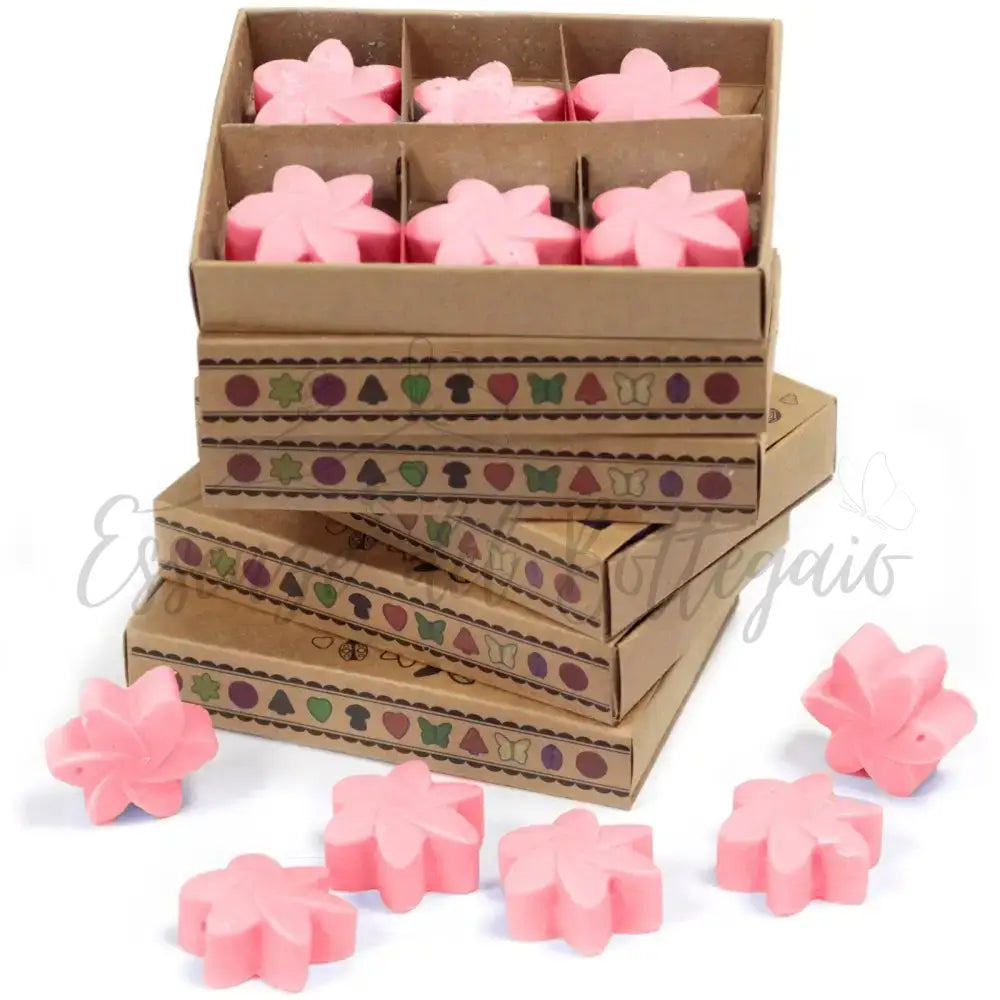 Scatola da 6 Cere da Sciogliere - Magnolia Giapponese - Natural Soy Wax Melts