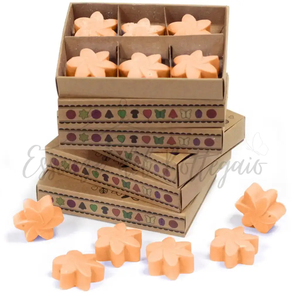 Scatola da 6 Cere da Sciogliere - Mango - Natural Soy Wax Melts