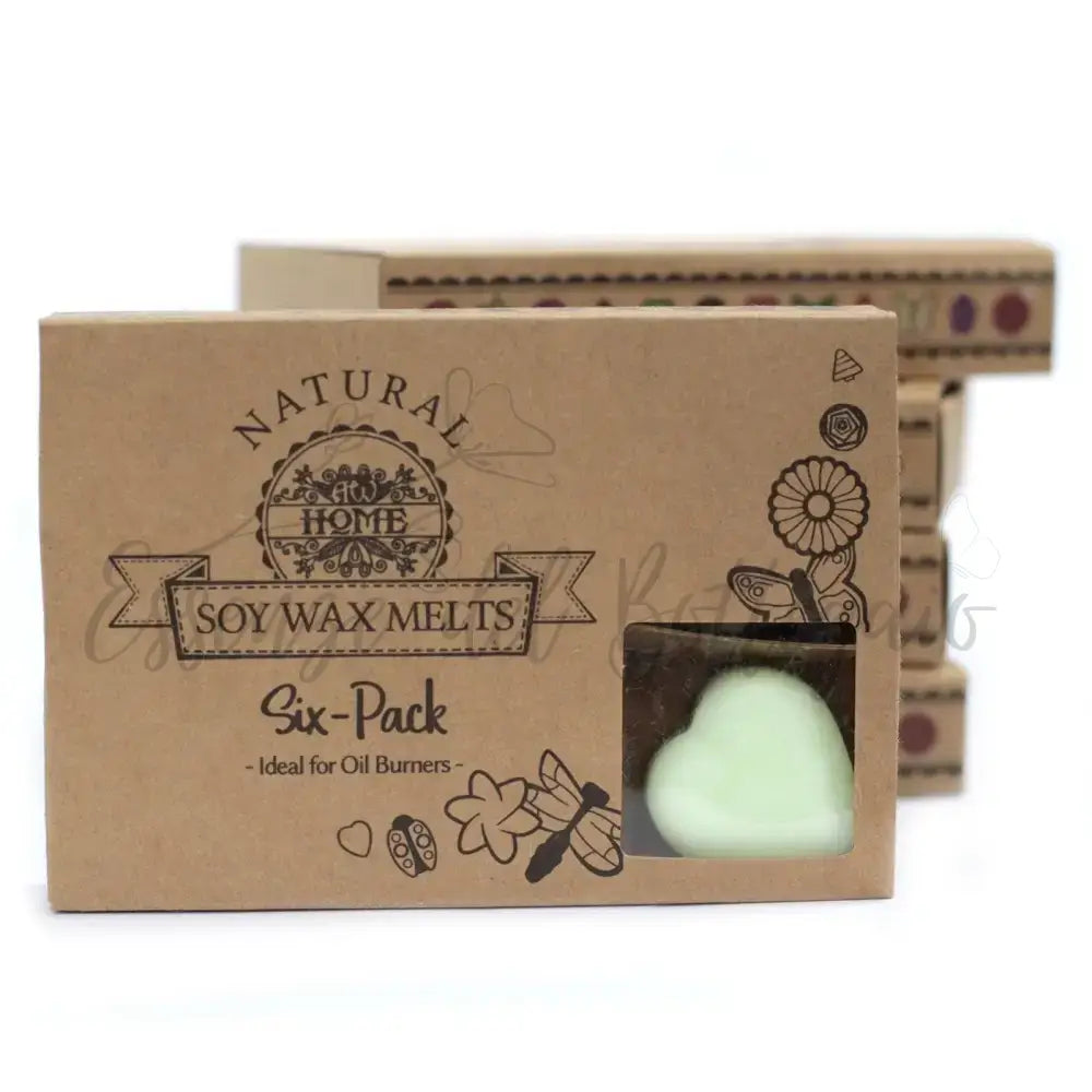 Scatola da 6 Cere da Sciogliere - Mela Speziata - Natural Soy Wax Melts