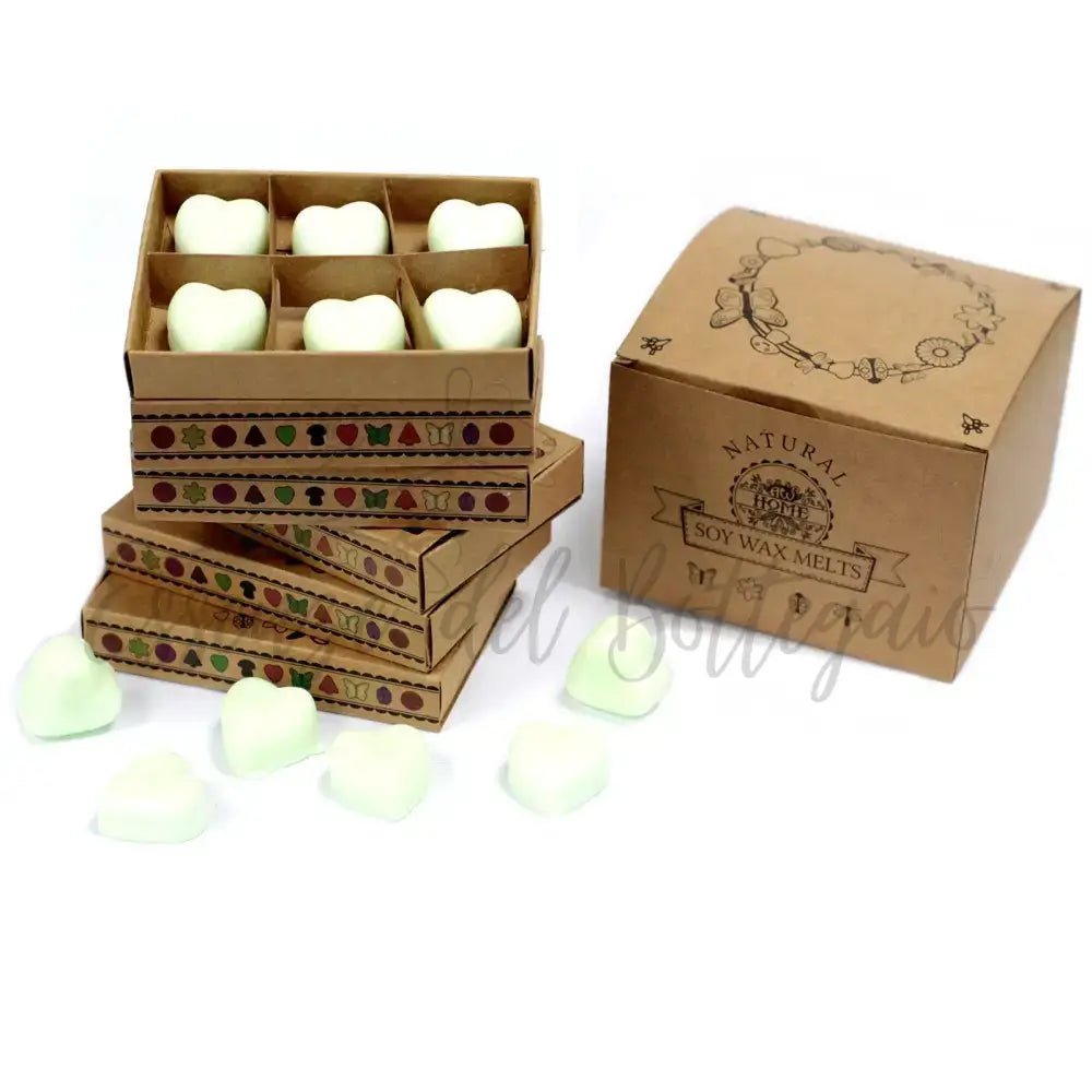 Scatola da 6 Cere da Sciogliere - Mela Speziata - Natural Soy Wax Melts