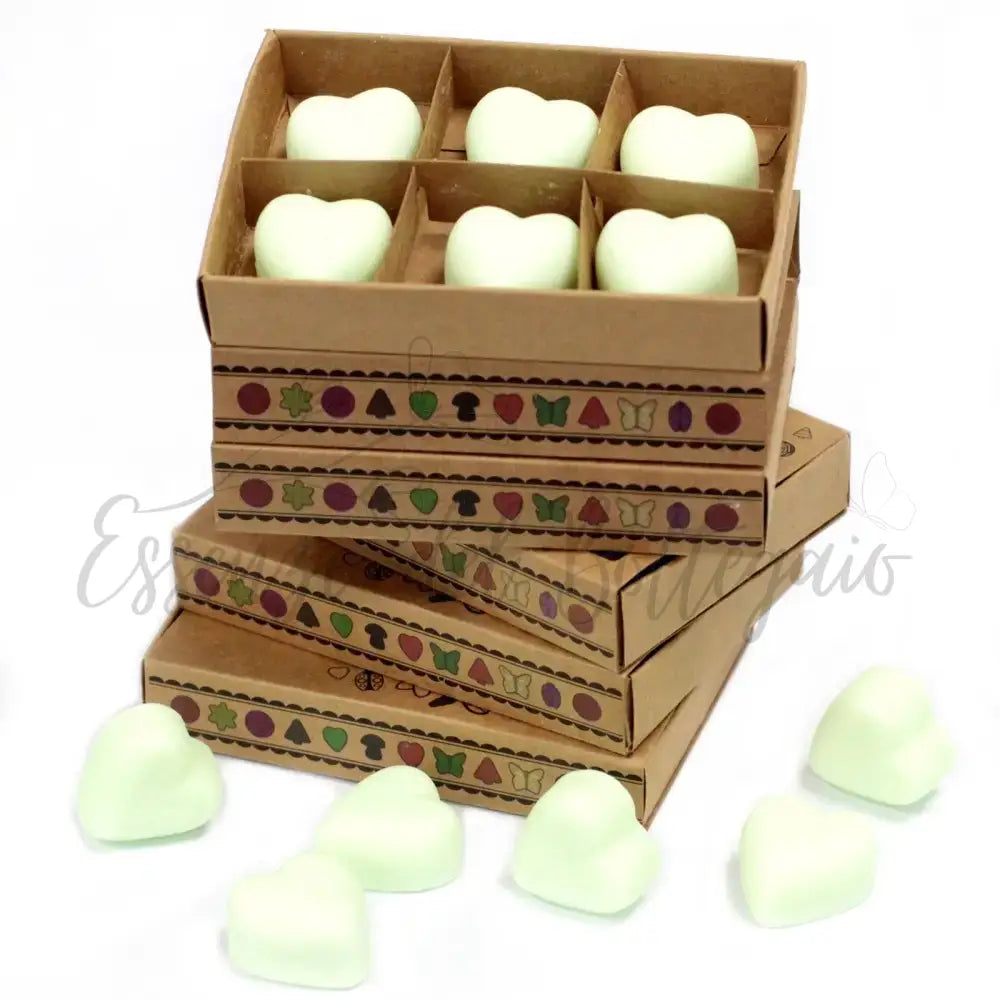 Scatola da 6 Cere da Sciogliere - Menta e Mentolo - Natural Soy Wax Melts