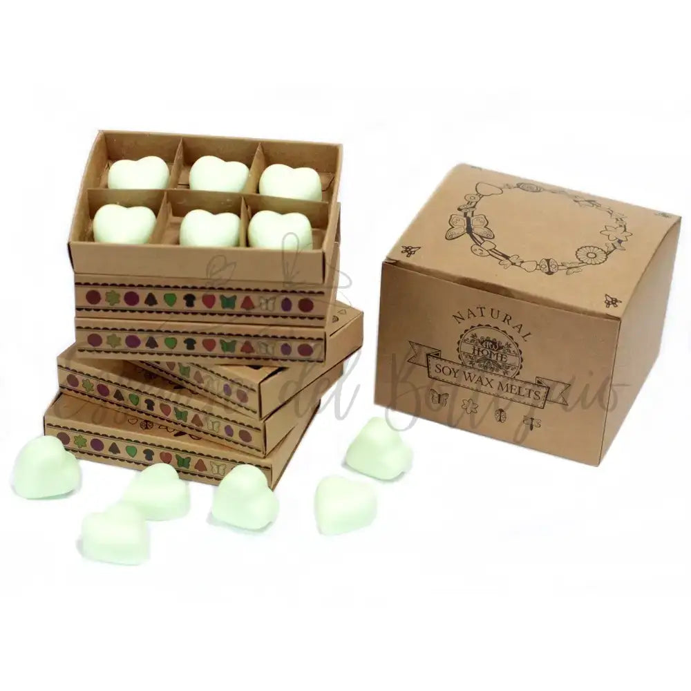 Scatola da 6 Cere da Sciogliere - Menta e Mentolo - Natural Soy Wax Melts